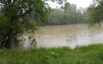 Mii de animale și peste …