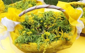 Cum se tratează acneea cu …