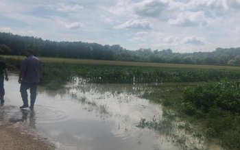 Prefectul solicită ajutor Guvernului după …