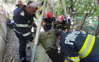 Bărbat din Dorohoi mort după …