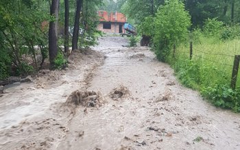 Guvernul a stabilit plata despăgubirilor …