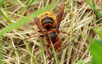 Ce să faci dacă te …
