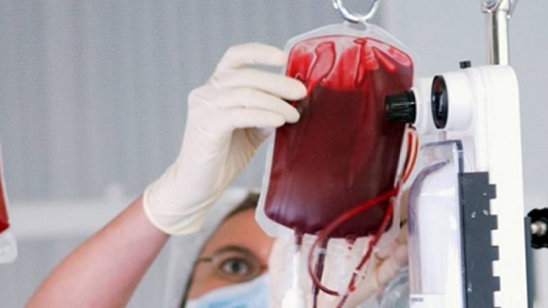 O botoșăneancă bolnavă de cancer are nevoie urgentă de sânge pentru a supraviețui