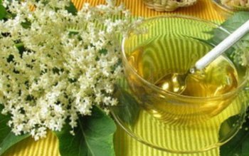 FLOAREA DE SOC și efectele …