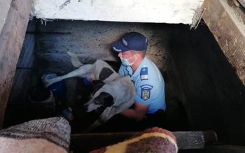 Misiune neobișnuită: Jandarmii cu dulăul …