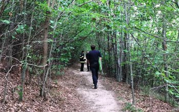 Femeie rătăcită în pădurea Vorona, …