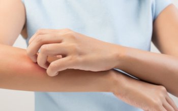 Insectele care pun în pericol …