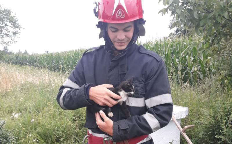 Pisicuță căzută într-o fântână adâncă de 13 metri salvată de pompierii botoșăneni – FOTO
