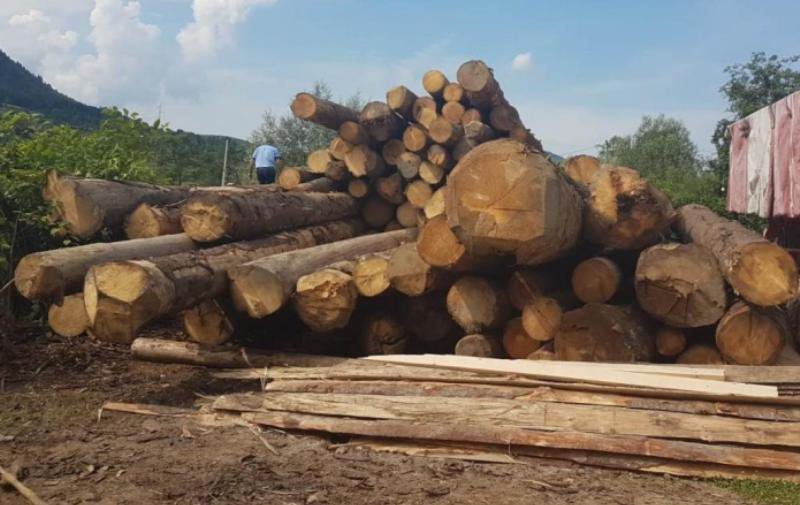 Material lemnos confiscat de la o societate din comuna Mihai Eminescu