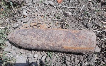 Descoperire periculoasă în curtea unui …