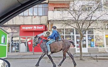 Cum a folosit „tăticul călăreţ” …