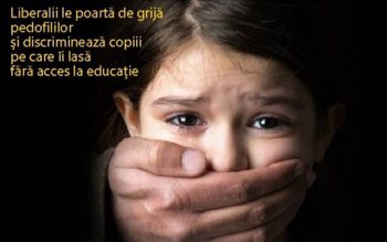 Doina Federovici: „PNL ia apărarea …