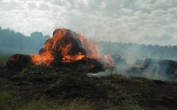 80 de tone de furaje …