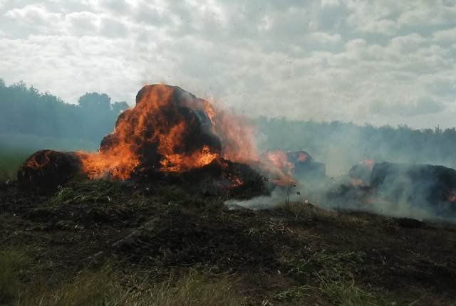 80 de tone de furaje mistuite de flăcări în comuna Dobârceni - FOTO