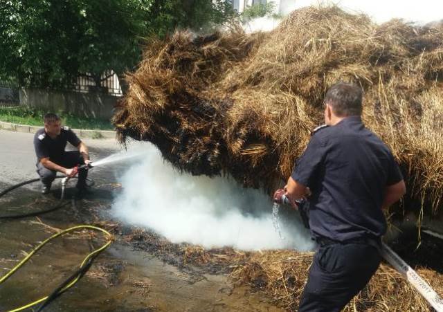 Incredibil! Căruță cu fân incendiată în mers de doi adolescenți - FOTO