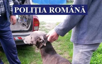 Acțiune pentru protecția vânatului terminată …