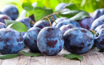 Cum putem consuma prunele pentru …