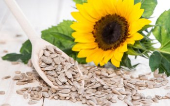 Motive pentru care nu trebuie …