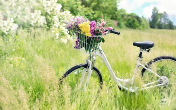 Se schimbă vremea! În două …