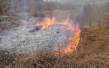 Bătrân din Suharău găsit carbonizat …