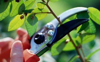 Un botoșănean a decedat după …