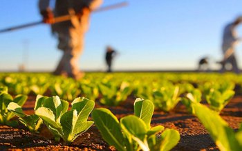 Proiect aprobat! Tinerii fermieri vor …