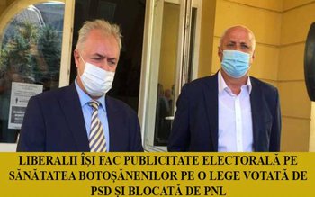 Mincinoșii Șoptică și Flutur se …