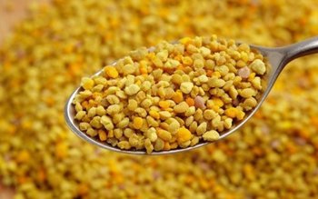 Polenul de albine este folosit …