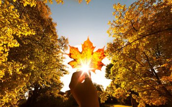 Prognoza meteo de la ANM. …