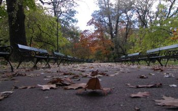 Temperaturi halucinante în luna septembrie. …