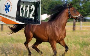 Bărbați din Botoșani la urgențe …