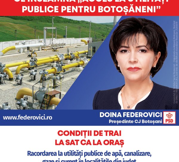 Doina Federovici: „La Consiliul Județean voi continua programele de asfaltări și extinderi de utilități publice inițiate de PSD pentru fiecare localitate”