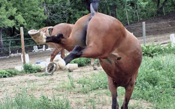 Caz incredibil! Botoșănean găsit inconștient …