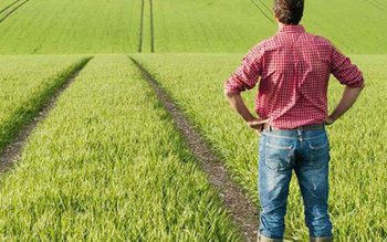 Se dă teren gratis de …