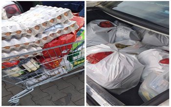 O OAZĂ DE NORMALITATE în …