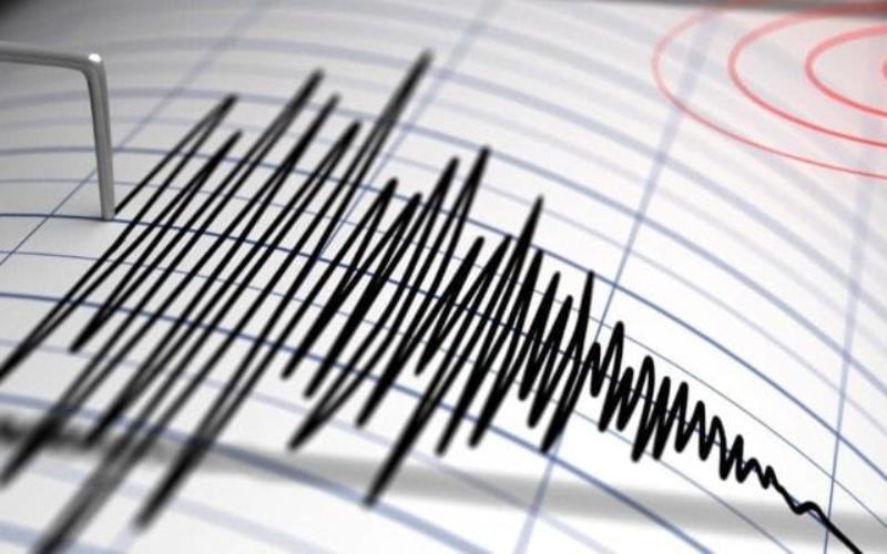 CUTREMUR! Seismul s-a produs joi noapte în zona Vrancea