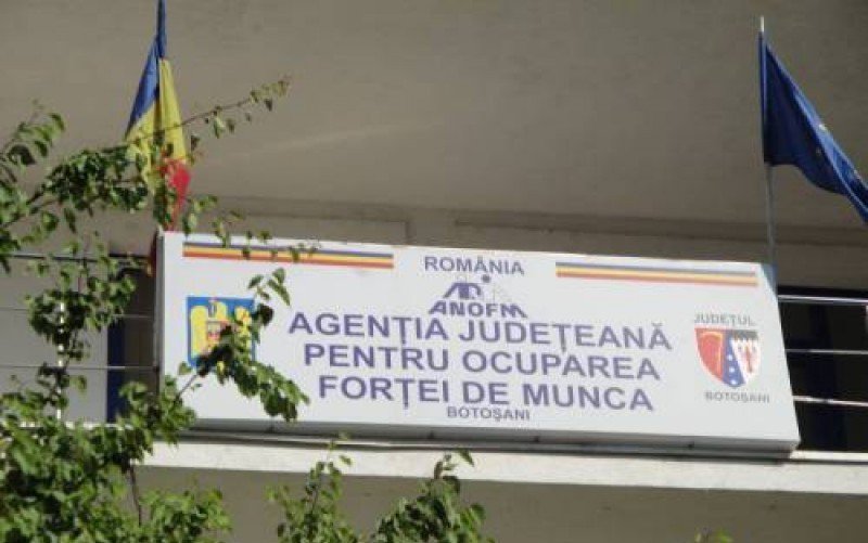 Peste patru mii de persoane angajate prin intermediul AJOFM Botoșani în perioada ianuarie-septembrie 2020