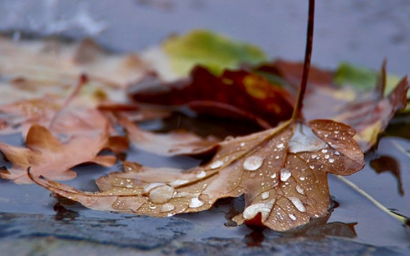 Vremea se schimbă radical. Vine frigul! Prognoză meteo ANM