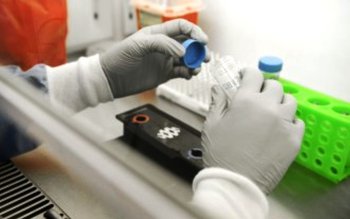 Scandal uriaș pe numărul de …