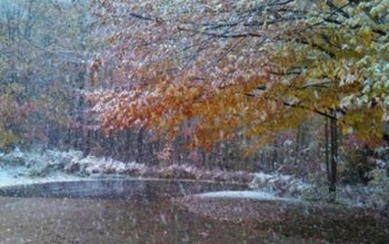 Iarna își intră în drepturi. …