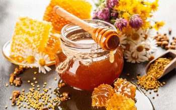 Mierea, ceara şi propolisul sunt …