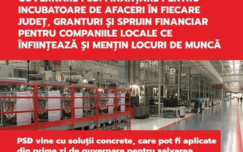 Costel Pătrăuceanu: „Finanțare pentru incubatoare …