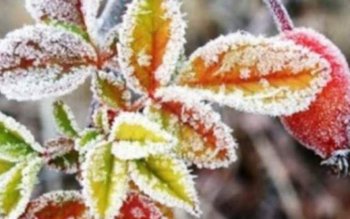 Ploi, lapoviţă şi ninsoare: Vremea …