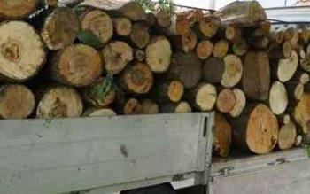 Patron amendat pentru activități ilegale …