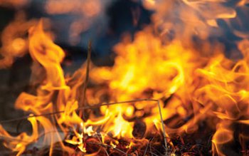 Tragic! O botoșăneancă a ars …