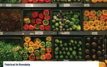 Guvernarea PSD este singura salvare …