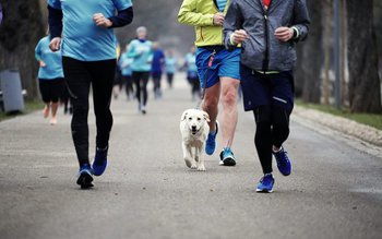 Alergarea o dată pe săptămână …