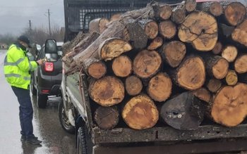 Dosar penal pentru un tânăr …