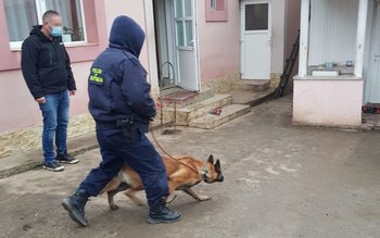 28 percheziții domiciliare pe raza …