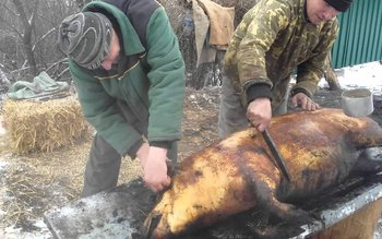 Sfaturi de la pompieri pentru …